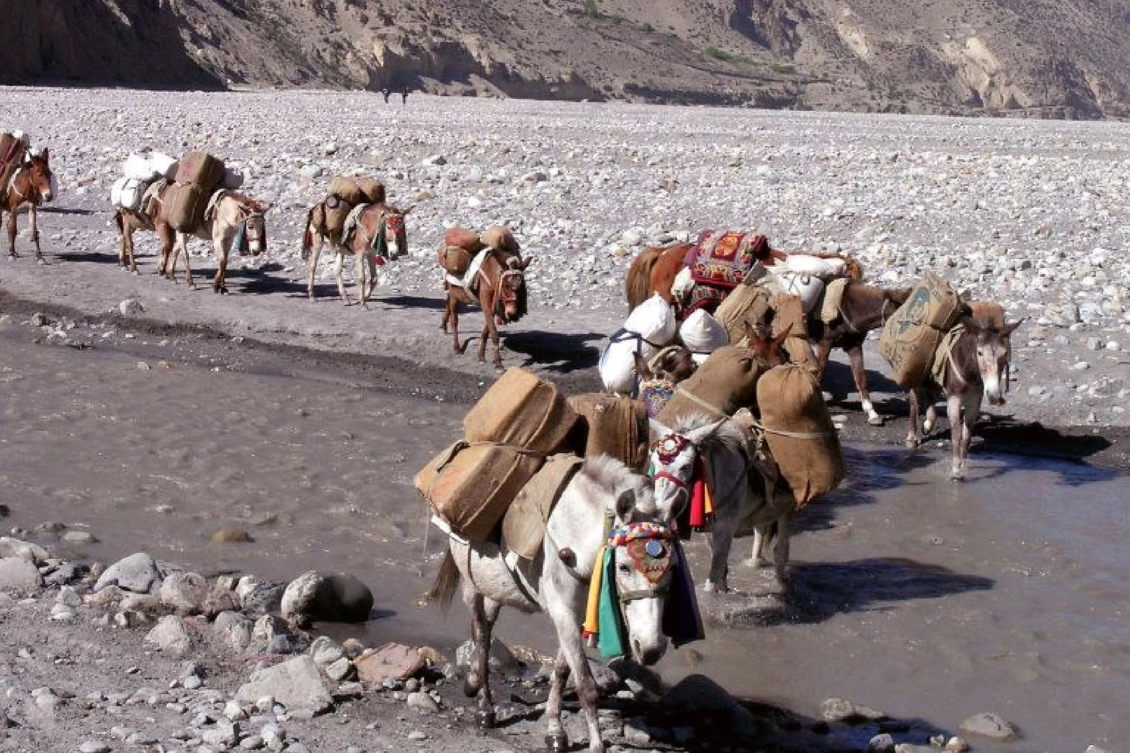 Ancient Caravan Routes to Reach the Last Forbidden Kingdom - Upper Mustang