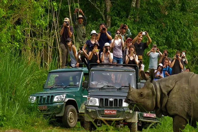 A Cultural and Safari Adventure